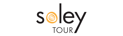 Soley Tour Logo